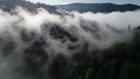 fog envelops a dense forest amidst the mountains, creating a tranquil atmosphere at dawn. trees stand tall, partially hidden by swirling mist, offering a peaceful scene of nature's splendor.