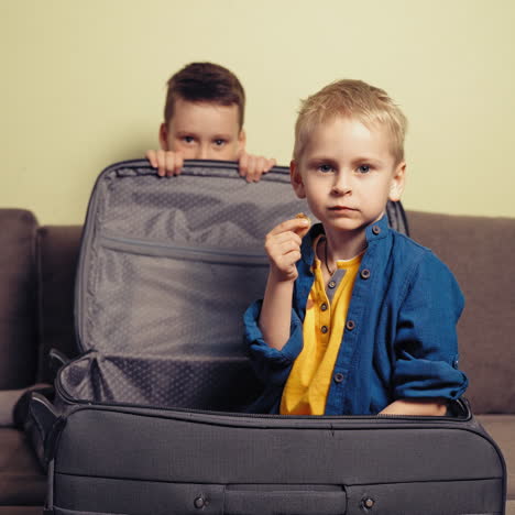 two boys in blue shirts playing at home with a big grey suitcase. elder brother closes a happy little boy in a suitcase on the couch in the room.
