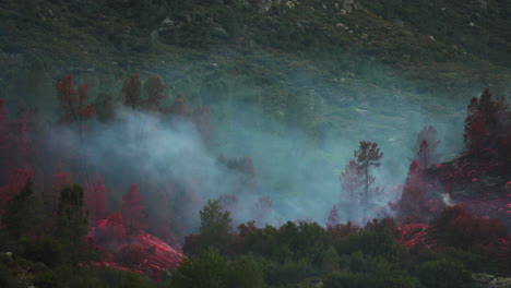 Helicopter-with-bucket-dropping-water-over-wildfire-near-Kern-River,-static-view