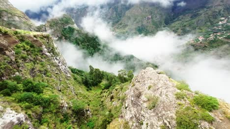 volando por una montaña de niebla cerca de los árboles