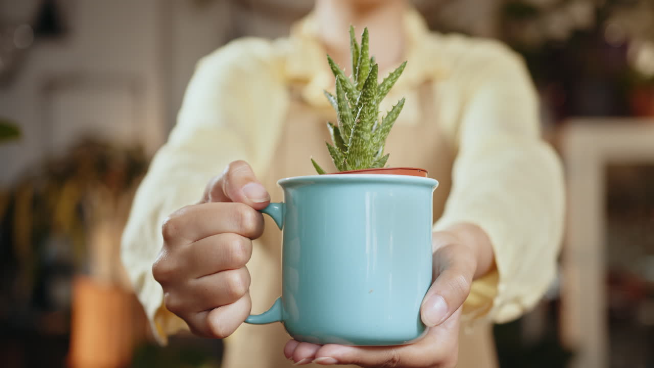 mujer sosteniendo una pequeña planta de cactus en una taza