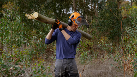 leñador llevando troncos de madera 4k