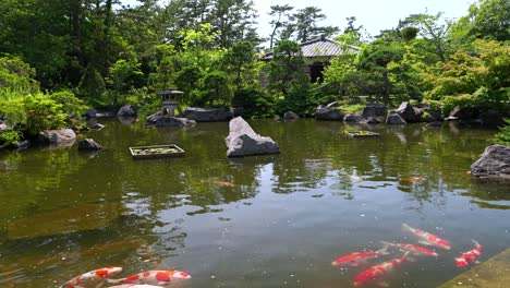 serene japanese garden with koi pond