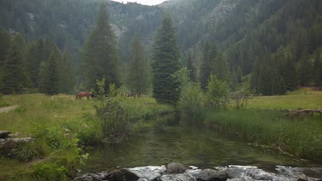 panning of green meadow with a river