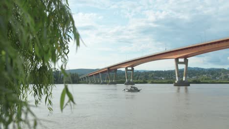 willow tree revealing a boat on a river and a bridge in the background