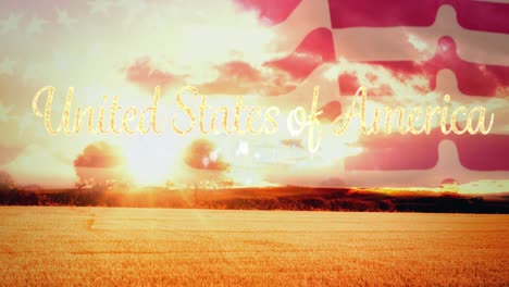 Animation-of-united-states-of-america-text-with-fireworks-with-american-flag-in-background