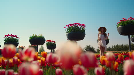 Hermoso-Jardín-De-Tulipanes-Con-Capullos-De-Flores-Brillantes-En-El-Fondo-Del-Cielo-Azul.