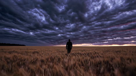 man standing in a wheat field at sunset during a storm