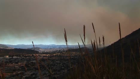 tiro largo del humo de los incendios forestales que cubren ventura california