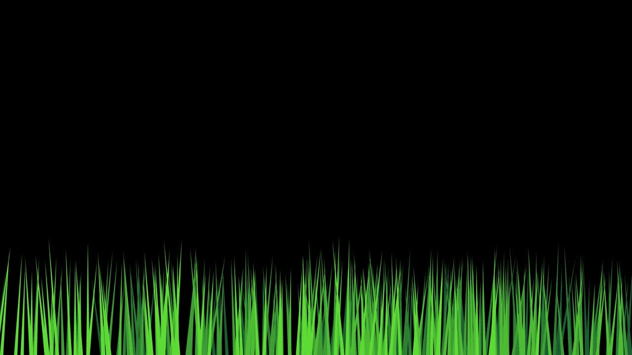 Erba in primo piano