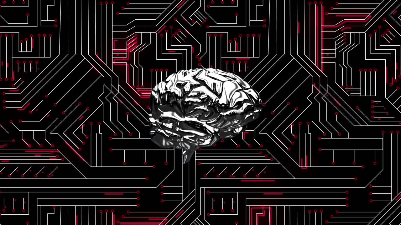 cerebro y circuito digital