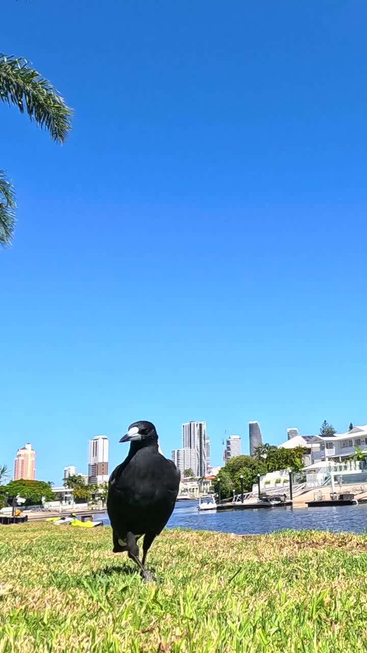 사이 이 많은 공원을 고 있다