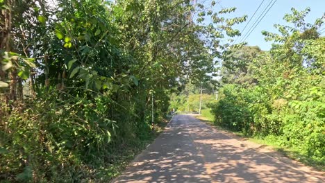 a journey along a winding road surrounded by greenery