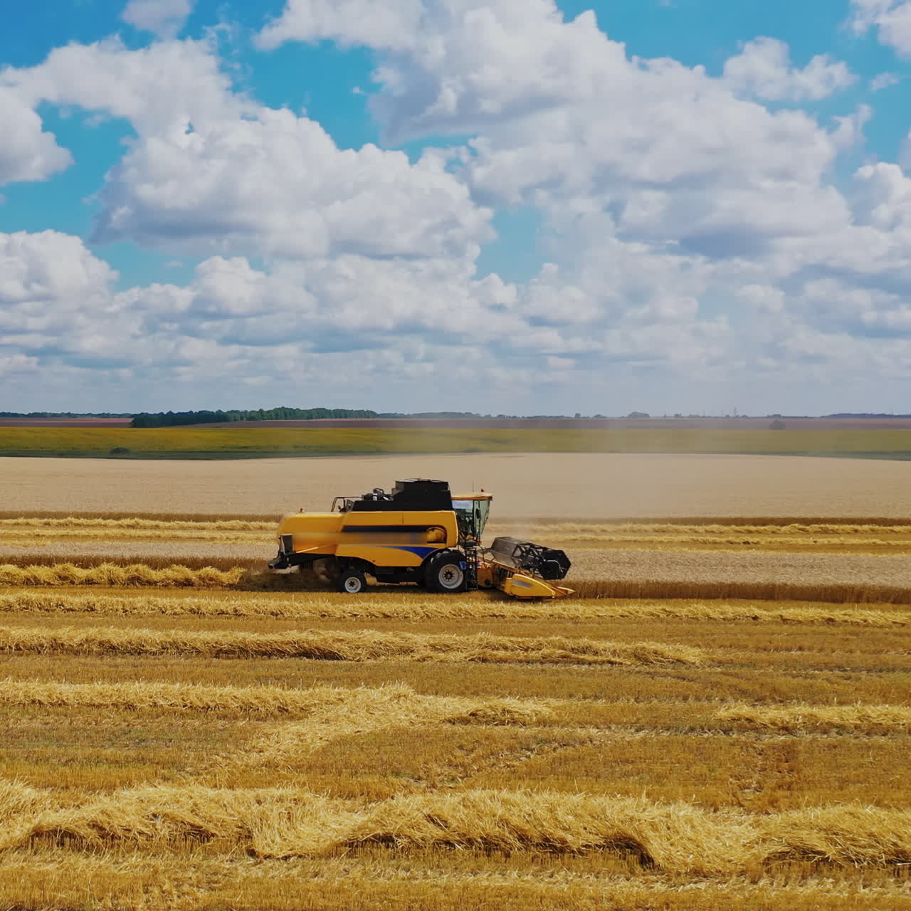 Agricultural combine working on the field. Modern machinery harvesting grains on the background of beautiful summer landscape in the countryside.