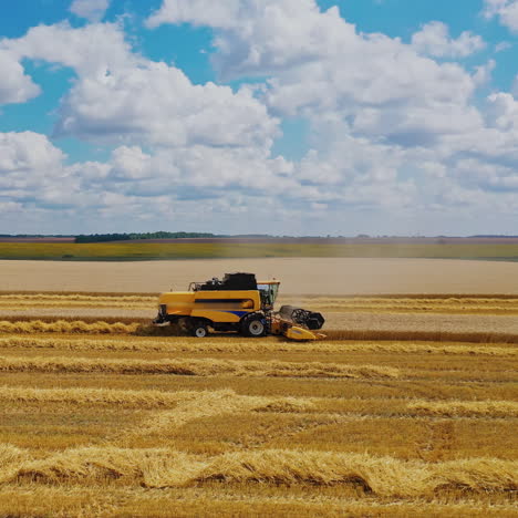 agricultural combine working on the field. modern machinery harvesting grains on the background of beautiful summer landscape in the countryside.