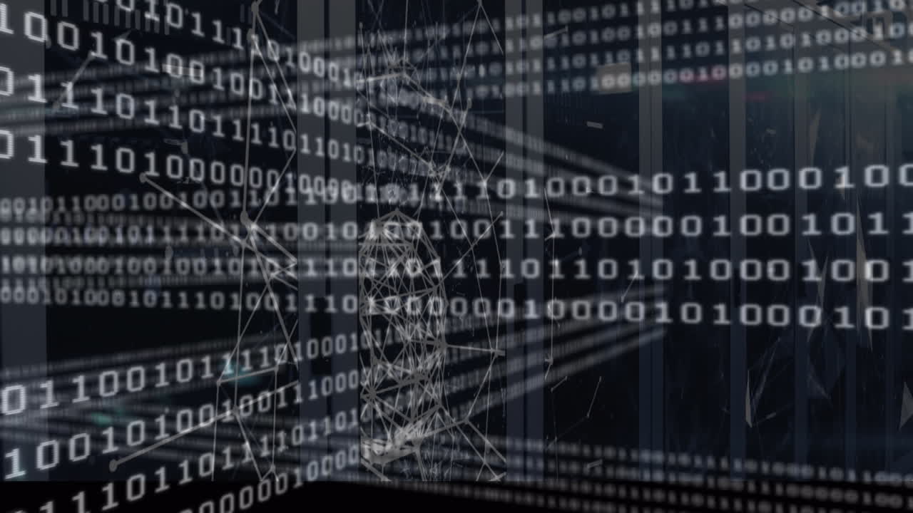 Animation of binary coding and data processing over computer servers