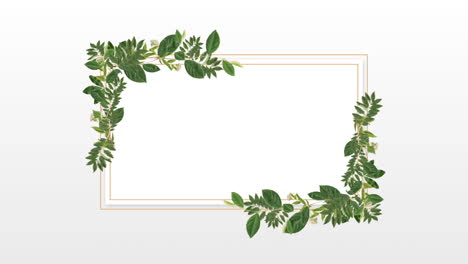 photo frame for copy space with decorative plant