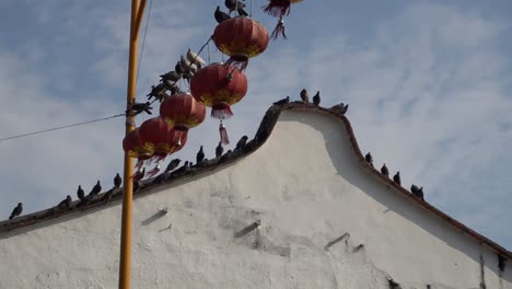 las palomas se sientan en el alambre de la linterna roja con la casa del patrimonio en el fondo