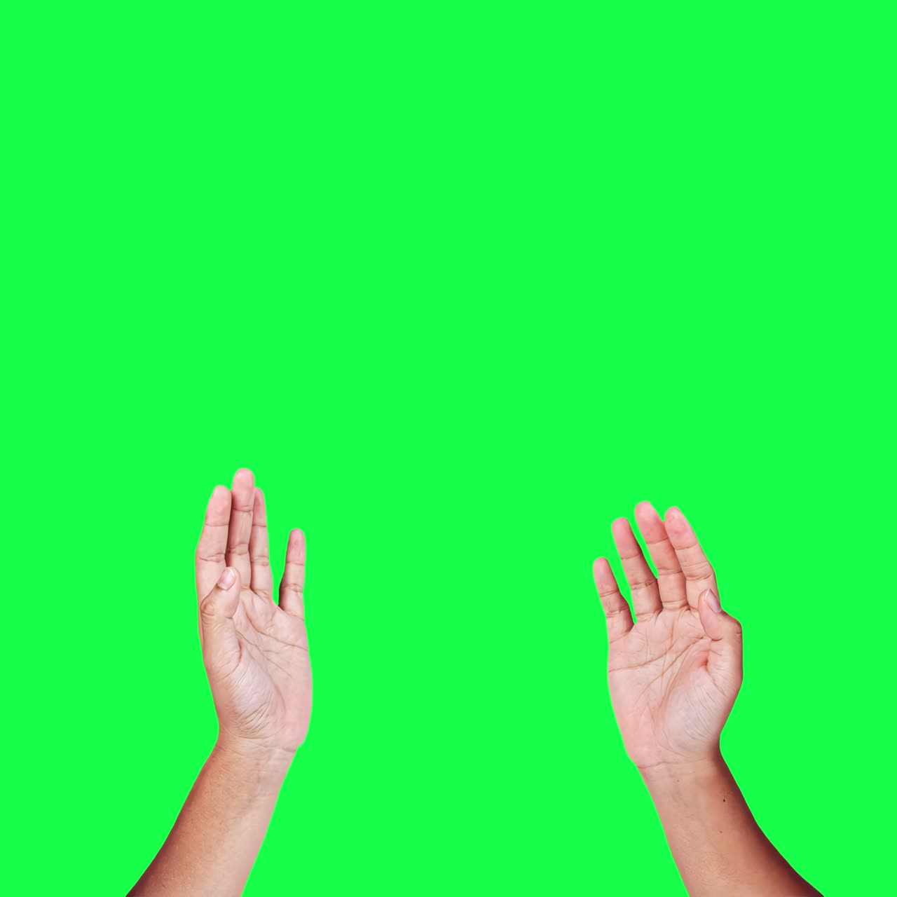 Hands raised animation, transparent 4K video, green screen