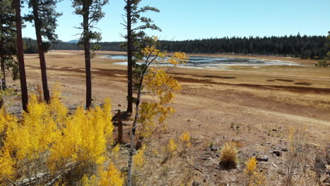 Aerial-slow-flying-to-the-right-of-quaking-aspen-and-pine-trees,-with-a-dried-up-mountain-lake-in-the-background