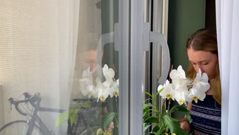 mujer joven regando flores blancas por la ventana en casa