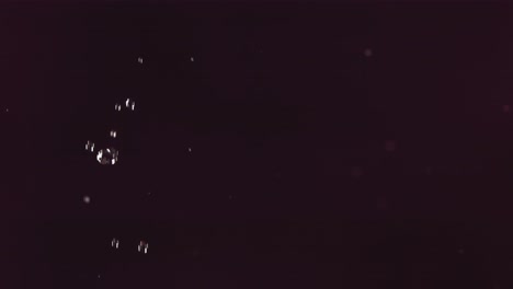 vuelo de toronja en fondo negro en cámara lenta