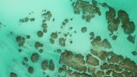 Crystal-clear-tropical-waters-and-coral-reef-colonies-under-the-ocean-surface---straight-down-flyover