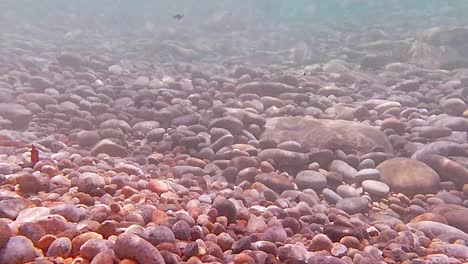 colourful round pebbles moving around with the current at the bottom of the ocean