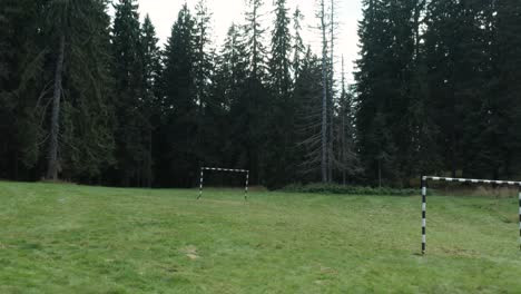 Pequeño-Terreno-De-Fútbol-En-El-Prado-Rodeado-De-Pinares