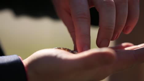 the groom holds gold wedding rings on the palm. wedding concept.