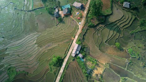 Arrozales-En-Terrazas-En-El-Norte-De-Vietnam