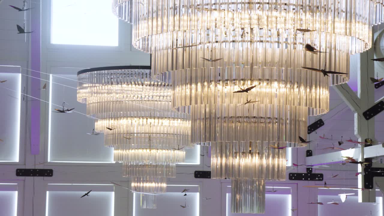 disparo de establecimiento lento de 2 lámparas de cristal colgando con pájaros modelo