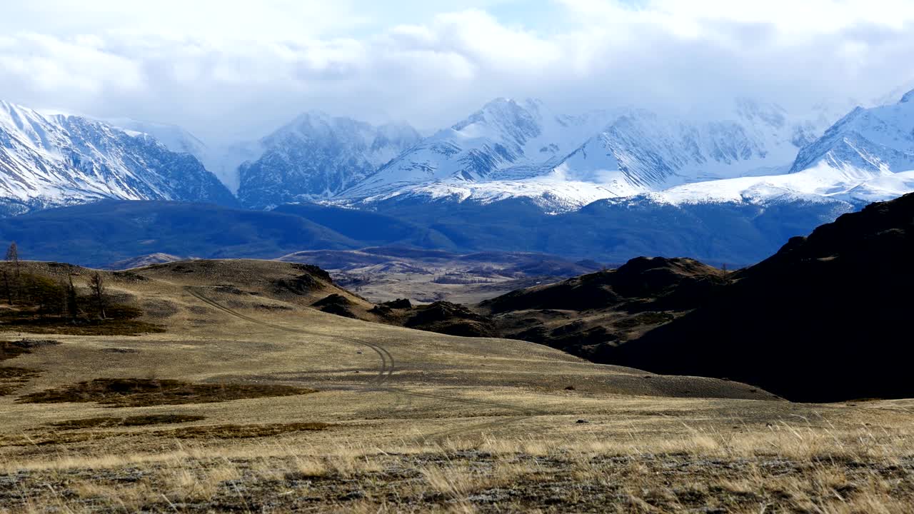 picos nevados y praderas en primavera bucle sin fisuras