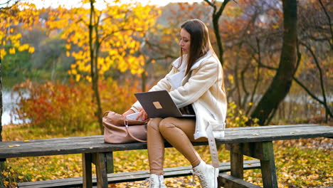 woman working on laptop in autumn park