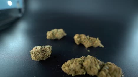 un movimiento hacia atrás detallado de una grúa filmado por encima de una planta de cannabis, cepas híbridas de flores de marihuana, indica y sativa, cámara lenta de 120 fps en alta definición, iluminación de estudio cinematográfico, luces led