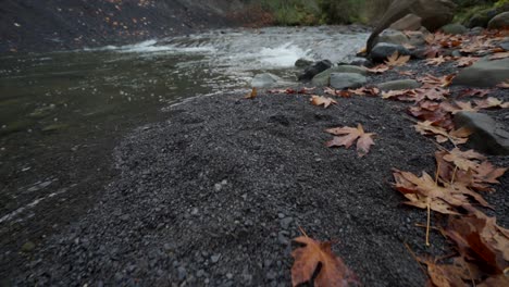 walking along the riverbank showing off the fall leaves and the water in slow motion