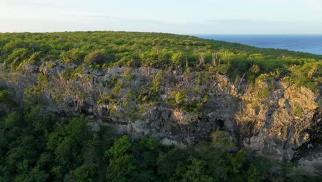 panoramic aerial establishing overview of rocky cliff and dry arid vegetation