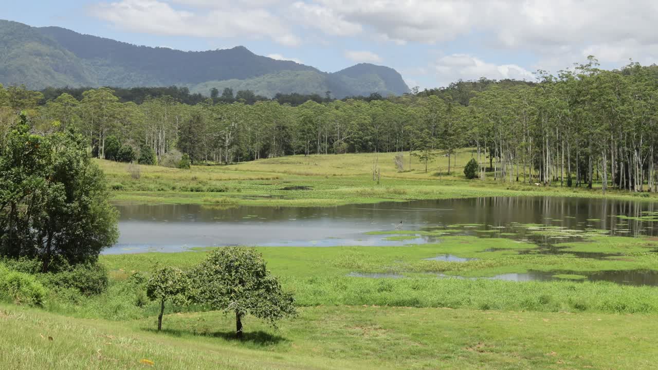 time-lapse de un sereno paisaje de humedales y montañas