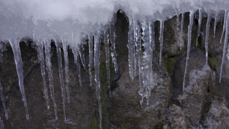 largos carámbanos congelados en el frío invierno