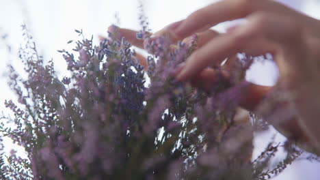 female hand puts a bouquet of lavender on a wooden table