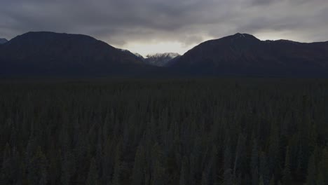 Volar-Sobre-Un-Denso-Bosque-De-Pinos-Acercándose-A-Las-Montañas,-Cielo-Nublado,-Parque-Nacional-Kluane