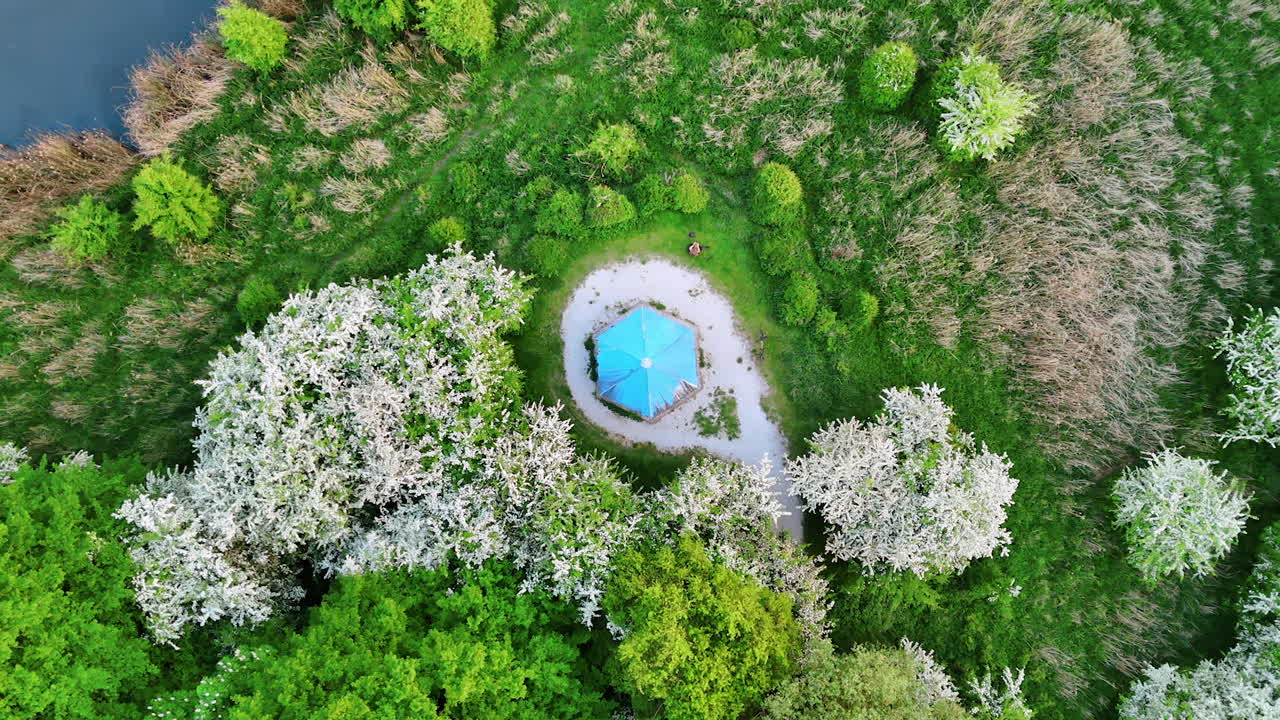 Roof of a belvedere in the green park. Beautiful white blossoming trees around. Top view.