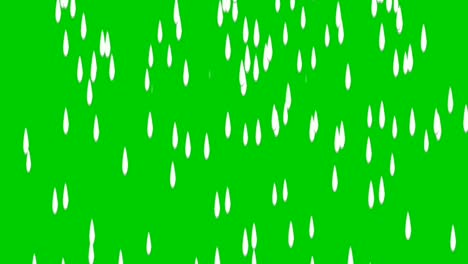 animación de lluvia pantalla verde, gota de agua en el fondo verde.4k video