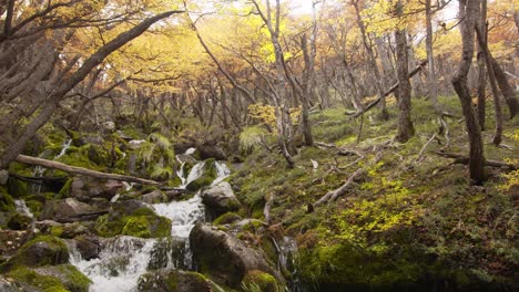 Los-Bosques-Y-Ríos-Salvajes-De-La-Patagonia,-Como-Se-Muestra-En-Una-Vista-De-Cámara-Estática-En-Un-Paisaje-Otoñal-De-Argentina.