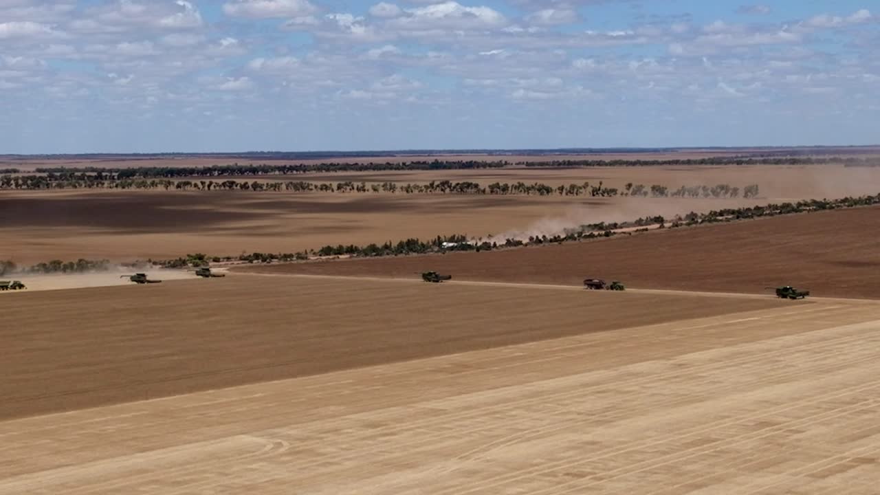 cosecha de grano de amplia hectárea en el oeste de australia