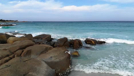 Aerial-view-of-seagulls-flying-over-coastal-rocks-and-waves-in-sunny-Australia---slow-motion,-drone-shot