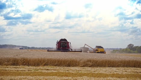 agricultural machinery at seasonal works. big combine harvester gathers wheat crop in a sunny summer day. wheat harvesting process.