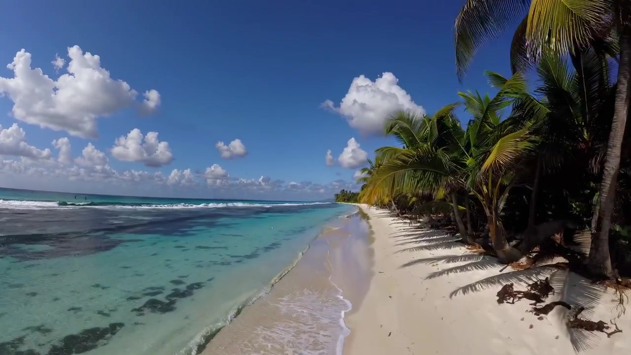 Pemandangan Udara Pantai Tropis dengan Pohon Palem dan Air Pirus