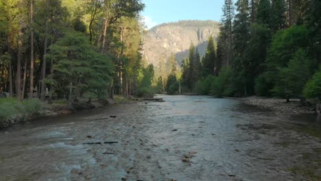 Vista-Aérea-Del-Parque-Nacional-De-Yosemite-En-California