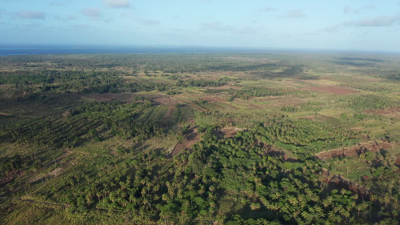 vista aérea de tonga, polinesia, paisaje verde, campos agrícolas, palmeras y costa